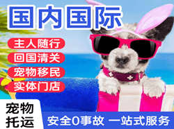 龙洞堡机场物流国际宠物托运 【国
